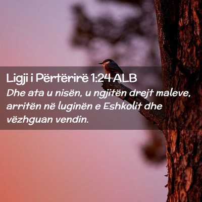 Picture 02 - Ligji i Përtërirë 1:24 ALB - Dhe ata u nisën, u ngjitën drejt maleve, - Bible Verse Picture