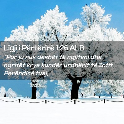 Picture 02 - Ligji i Përtërirë 1:26 ALB - 