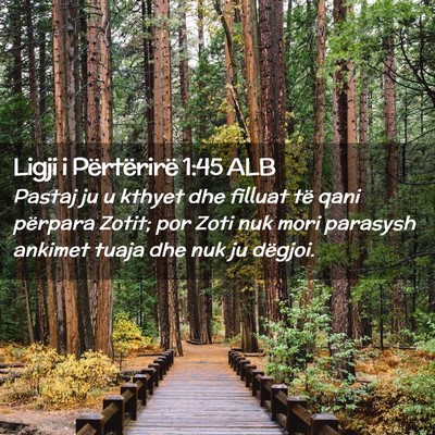 Picture 02 - Ligji i Përtërirë 1:45 ALB - Pastaj ju u kthyet dhe filluat të qani përpara - Bible Verse Picture