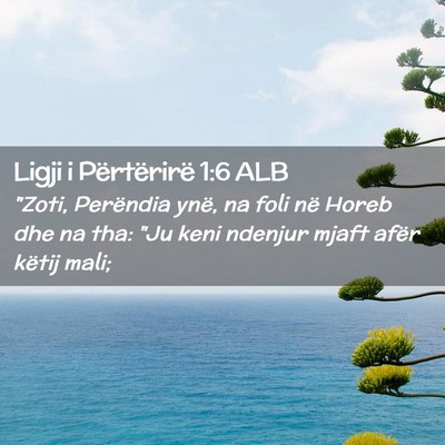 Picture 02 - Ligji i Përtërirë 1:6 ALB - 