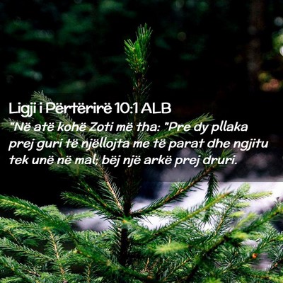 Picture 02 - Ligji i Përtërirë 10:1 ALB - 