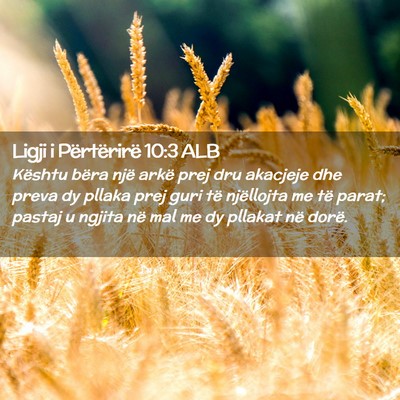 Picture 02 - Ligji i Përtërirë 10:3 ALB - Kështu bëra një arkë prej dru akacjeje dhe - Bible Verse Picture