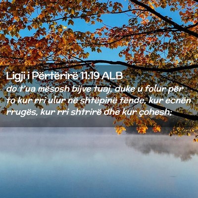 Picture 02 - Ligji i Përtërirë 11:19 ALB - do t’ua mësosh bijve tuaj, duke u folur për - Bible Verse Picture