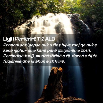 Picture 02 - Ligji i Përtërirë 11:2 ALB - Pranoni sot (sepse nuk u flas bijve tuaj që nuk - Bible Verse Picture