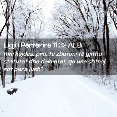 Picture 02 - Ligji i Përtërirë 11:32 ALB - Kini kujdes, pra, të zbatoni të gjitha statutet - Bible Verse Picture