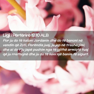 Picture 02 - Ligji i Përtërirë 12:10 ALB - Por ju do të kaloni Jordanin dhe do të banoni - Bible Verse Picture