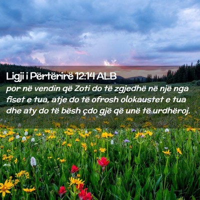 Picture 02 - Ligji i Përtërirë 12:14 ALB - por në vendin që Zoti do të zgjedhë në një - Bible Verse Picture