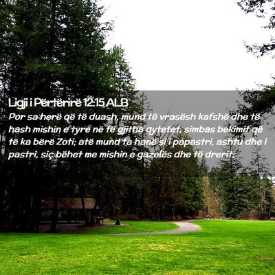 Picture 02 - Ligji i Përtërirë 12:15 ALB - Por sa herë që të duash, mund të vrasësh - Bible Verse Picture