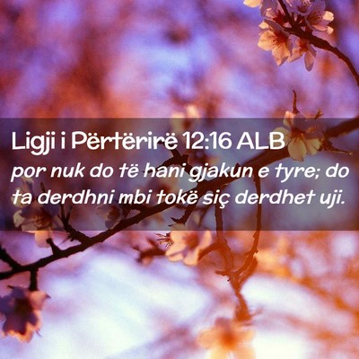 Picture 02 - Ligji i Përtërirë 12:16 ALB - por nuk do të hani gjakun e tyre; do ta derdhni - Bible Verse Picture