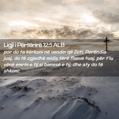 Picture 02 - Ligji i Përtërirë 12:5 ALB - por do ta kërkoni në vendin që Zoti, Perëndia - Bible Verse Picture