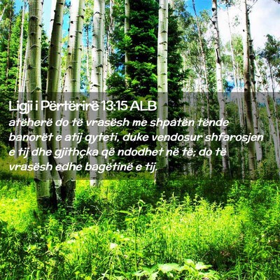 Picture 02 - Ligji i Përtërirë 13:15 ALB - atëherë do të vrasësh me shpatën tënde - Bible Verse Picture