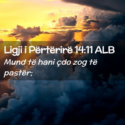 Picture 02 - Ligji i Përtërirë 14:11 ALB - Mund të hani çdo zog të - Bible Verse Picture