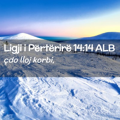 Picture 02 - Ligji i Përtërirë 14:14 ALB - çdo lloj - Bible Verse Picture
