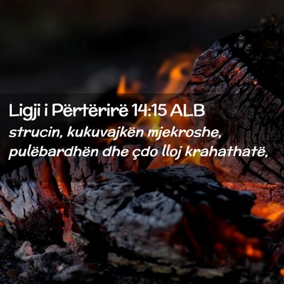 Picture 02 - Ligji i Përtërirë 14:15 ALB - strucin, kukuvajkën mjekroshe, pulëbardhën dhe - Bible Verse Picture