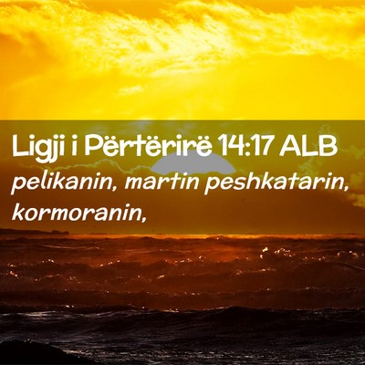 Picture 02 - Ligji i Përtërirë 14:17 ALB - pelikanin, martin peshkatarin, - Bible Verse Picture