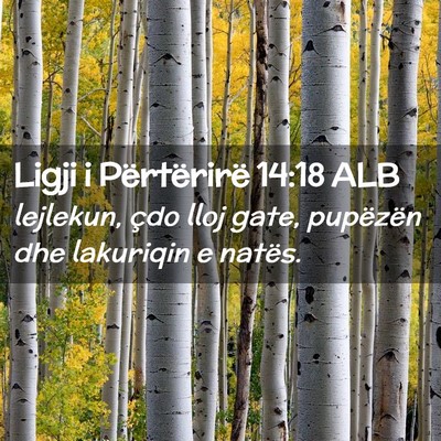 Picture 02 - Ligji i Përtërirë 14:18 ALB - lejlekun, çdo lloj gate, pupëzën dhe lakuriqin - Bible Verse Picture
