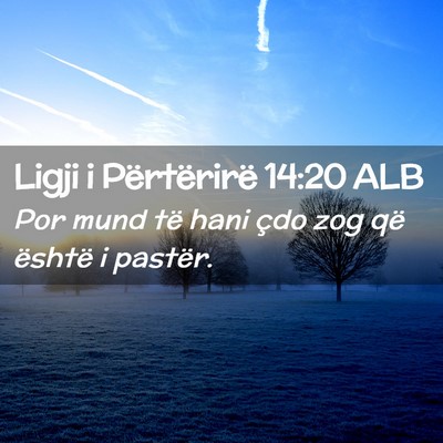 Picture 02 - Ligji i Përtërirë 14:20 ALB - Por mund të hani çdo zog që është i - Bible Verse Picture