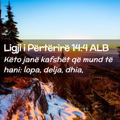 Picture 02 - Ligji i Përtërirë 14:4 ALB - Këto janë kafshët që mund të hani: lopa, - Bible Verse Picture