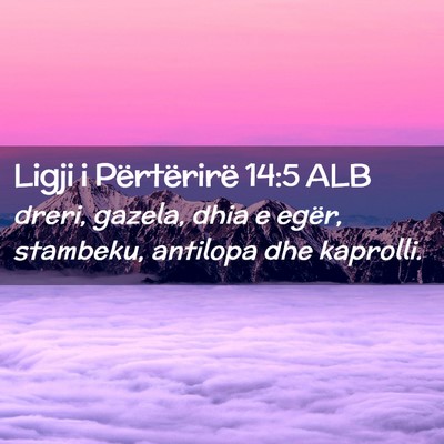 Picture 02 - Ligji i Përtërirë 14:5 ALB - dreri, gazela, dhia e egër, stambeku, antilopa - Bible Verse Picture