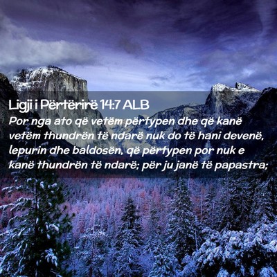 Picture 02 - Ligji i Përtërirë 14:7 ALB - Por nga ato që vetëm përtypen dhe që kanë - Bible Verse Picture