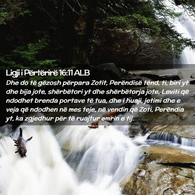 Picture 02 - Ligji i Përtërirë 16:11 ALB - Dhe do të gëzosh përpara Zotit, Perëndisë - Bible Verse Picture
