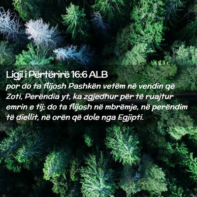 Picture 02 - Ligji i Përtërirë 16:6 ALB - por do ta flijosh Pashkën vetëm në vendin që - Bible Verse Picture