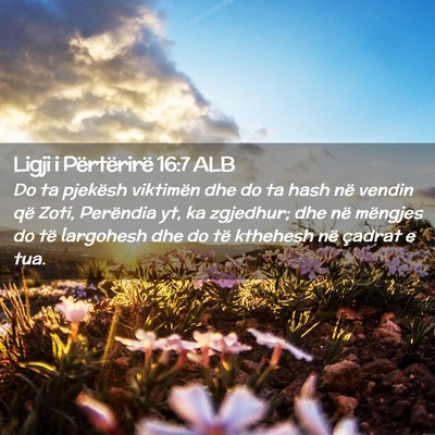 Picture 02 - Ligji i Përtërirë 16:7 ALB - Do ta pjekësh viktimën dhe do ta hash në - Bible Verse Picture