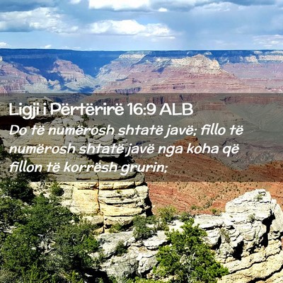 Picture 02 - Ligji i Përtërirë 16:9 ALB - Do të numërosh shtatë javë; fillo të - Bible Verse Picture