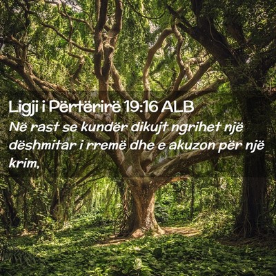 Picture 02 - Ligji i Përtërirë 19:16 ALB - Në rast se kundër dikujt ngrihet një - Bible Verse Picture