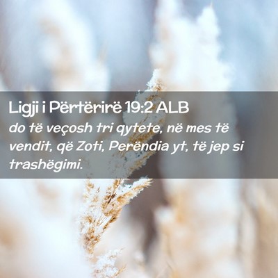 Picture 02 - Ligji i Përtërirë 19:2 ALB - do të veçosh tri qytete, në mes të vendit, - Bible Verse Picture
