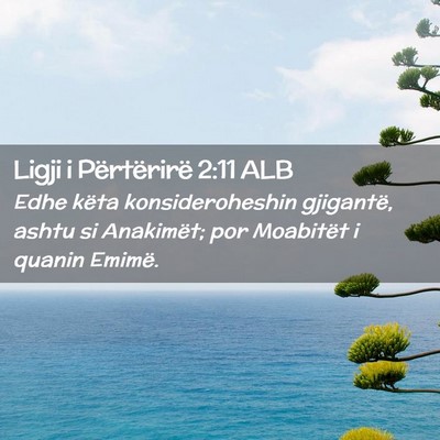 Picture 02 - Ligji i Përtërirë 2:11 ALB - Edhe këta konsideroheshin gjigantë, ashtu si - Bible Verse Picture