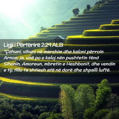 Picture 02 - Ligji i Përtërirë 2:24 ALB - 