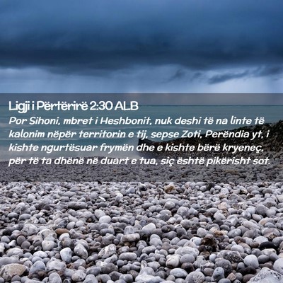 Picture 02 - Ligji i Përtërirë 2:30 ALB - Por Sihoni, mbret i Heshbonit, nuk deshi të na - Bible Verse Picture