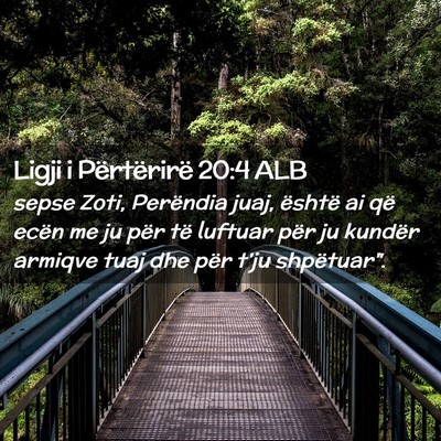 Picture 02 - Ligji i Përtërirë 20:4 ALB - sepse Zoti, Perëndia juaj, është ai që ecën - Bible Verse Picture