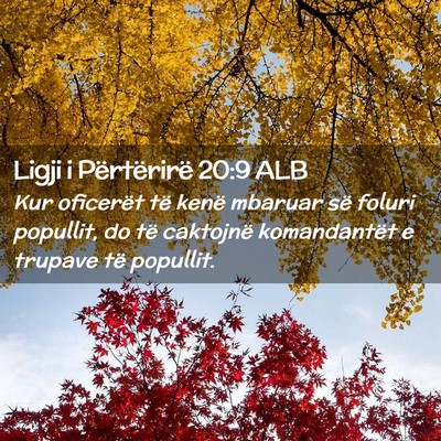 Picture 02 - Ligji i Përtërirë 20:9 ALB - Kur oficerët të kenë mbaruar së foluri - Bible Verse Picture