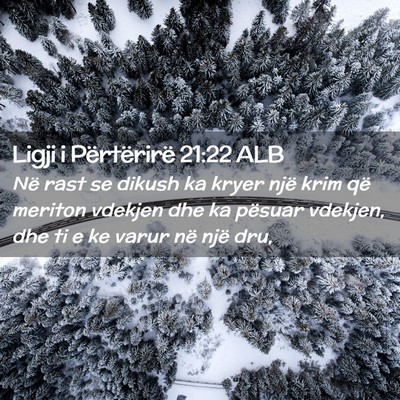 Picture 02 - Ligji i Përtërirë 21:22 ALB - Në rast se dikush ka kryer një krim që meriton - Bible Verse Picture