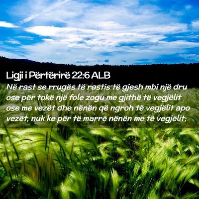 Picture 02 - Ligji i Përtërirë 22:6 ALB - Në rast se rrugës të rastis të gjesh mbi një - Bible Verse Picture