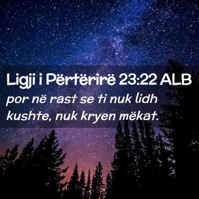 Picture 02 - Ligji i Përtërirë 23:22 ALB - por në rast se ti nuk lidh kushte, nuk kryen - Bible Verse Picture