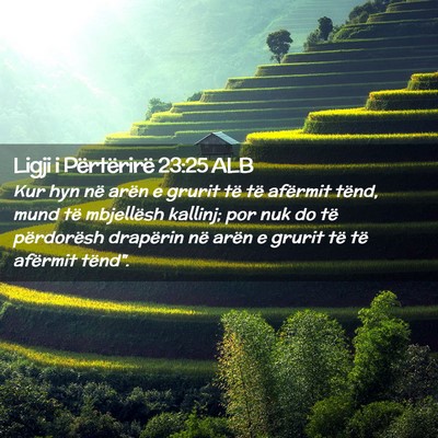 Picture 02 - Ligji i Përtërirë 23:25 ALB - Kur hyn në arën e grurit të të afërmit - Bible Verse Picture