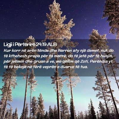 Picture 02 - Ligji i Përtërirë 24:19 ALB - Kur korr në arën tënde dhe harron aty një - Bible Verse Picture