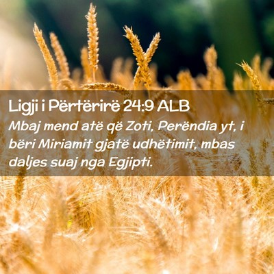 Picture 02 - Ligji i Përtërirë 24:9 ALB - Mbaj mend atë që Zoti, Perëndia yt, i bëri - Bible Verse Picture