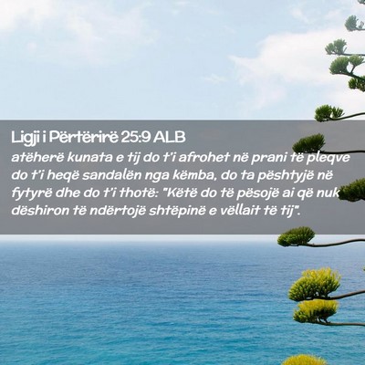 Picture 02 - Ligji i Përtërirë 25:9 ALB - atëherë kunata e tij do t’i afrohet në prani - Bible Verse Picture