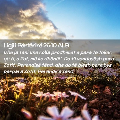 Picture 02 - Ligji i Përtërirë 26:10 ALB - Dhe ja tani unë solla prodhimet e para të - Bible Verse Picture