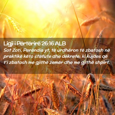 Picture 02 - Ligji i Përtërirë 26:16 ALB - Sot Zoti, Perëndia yt, të urdhëron të zbatosh - Bible Verse Picture