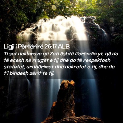 Picture 02 - Ligji i Përtërirë 26:17 ALB - Ti sot deklarove që Zoti është Perëndia yt, - Bible Verse Picture
