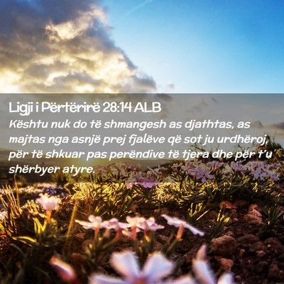 Picture 02 - Ligji i Përtërirë 28:14 ALB - Kështu nuk do të shmangesh as djathtas, as - Bible Verse Picture