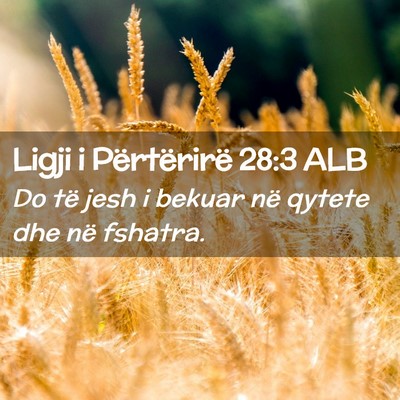 Picture 02 - Ligji i Përtërirë 28:3 ALB - Do të jesh i bekuar në qytete dhe në - Bible Verse Picture