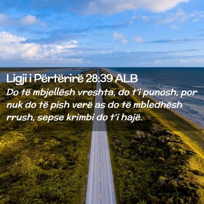 Picture 02 - Ligji i Përtërirë 28:39 ALB - Do të mbjellësh vreshta, do t’i punosh, por - Bible Verse Picture