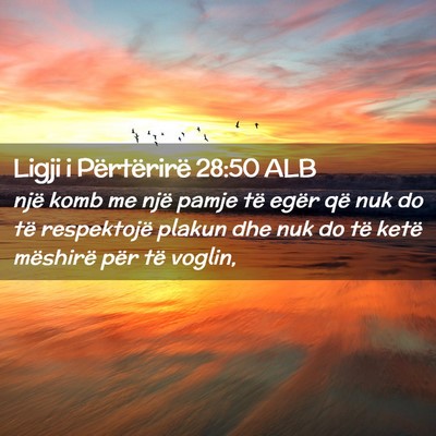 Picture 02 - Ligji i Përtërirë 28:50 ALB - një komb me një pamje të egër që nuk do të - Bible Verse Picture