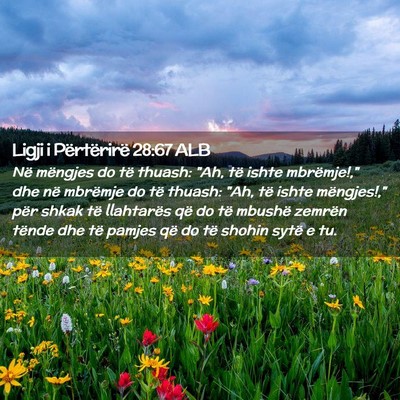 Picture 02 - Ligji i Përtërirë 28:67 ALB - Në mëngjes do të thuash: 